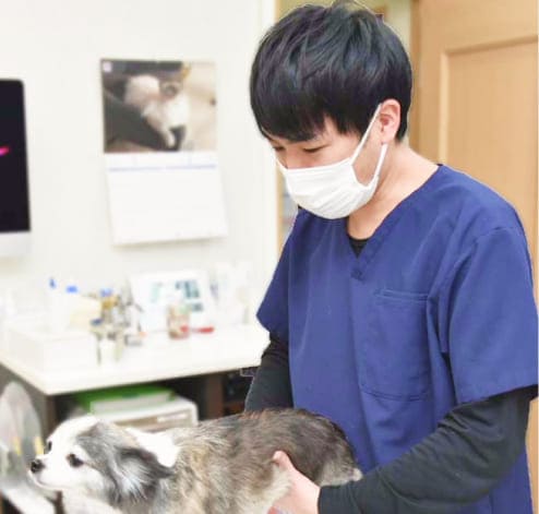 診察中の獣医師