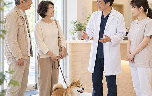 診察中の獣医師