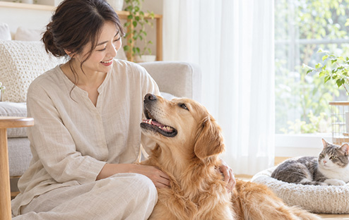 元気に走り回る犬