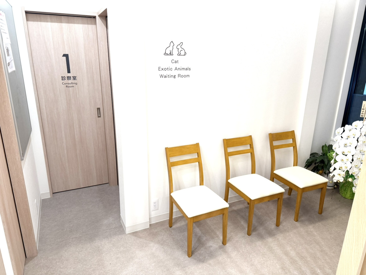 猫専用待合室