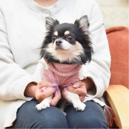 病院に来た犬の写真