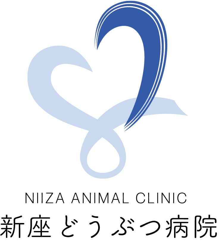 新座動物病院