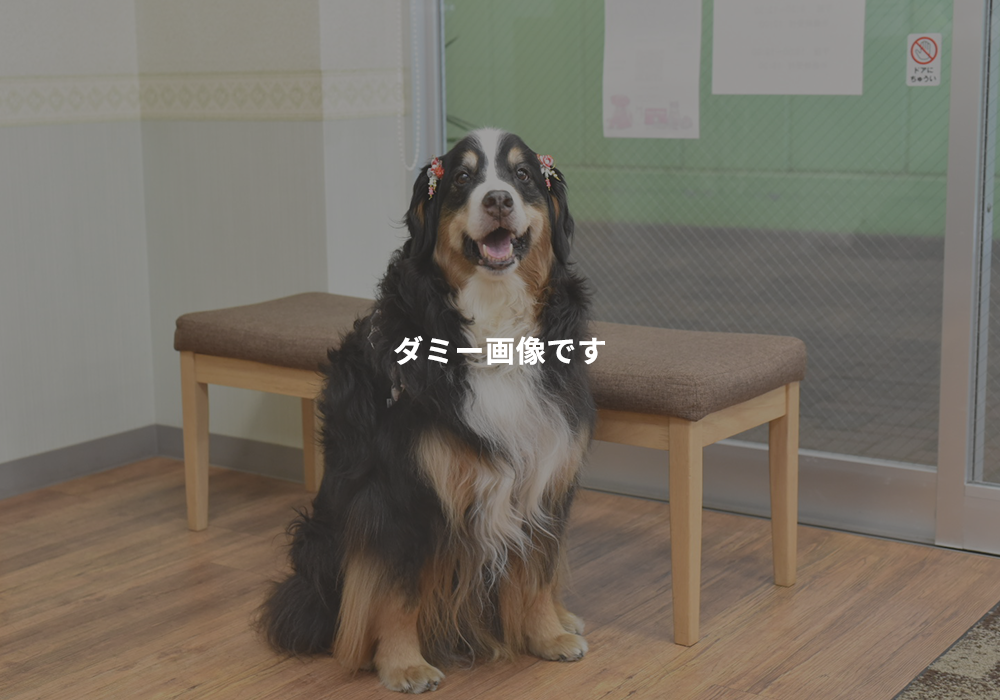 症例準備中