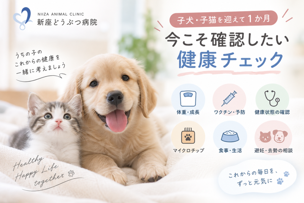 子犬・子猫を迎えて1か月。今こそ確認したい健康チェック