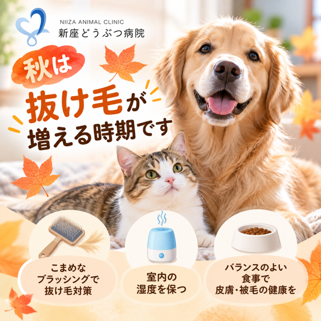 秋に増える抜け毛・乾燥肌の原因とおうちでできるケア