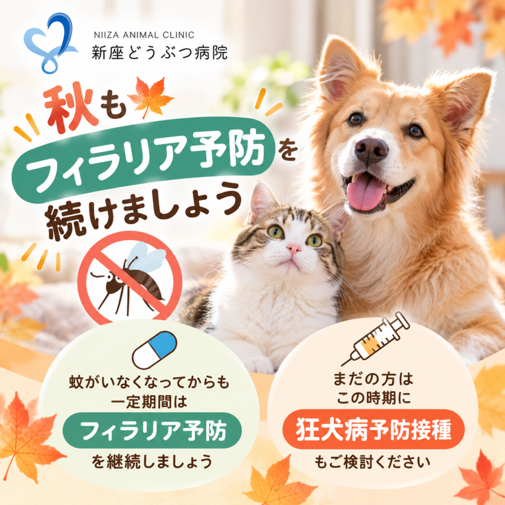 フィラリア予防はいつまで？秋の予防接種スケジュールのご案内