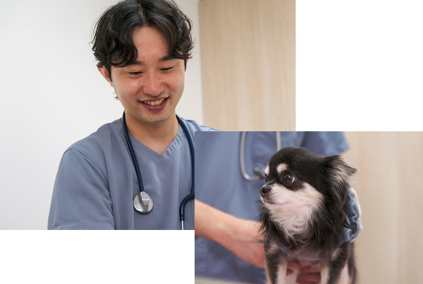 予防医療イメージ